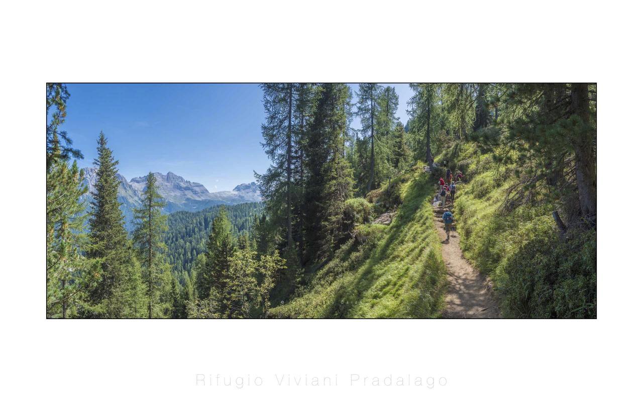 Rifugio Viviani Pradalago 호텔 마돈나 디 캄필리오 외부 사진